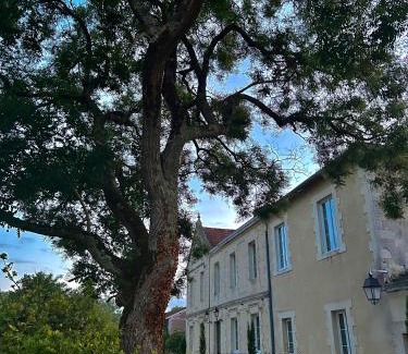 Queyrac Bed & Breakfast | Château Bernon Maison d Hotes - Piscine et SPA