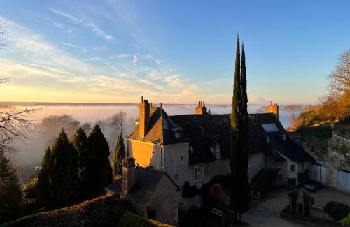 Nazelles-Negron Bed & Breakfast | Château de Nazelles Amboise