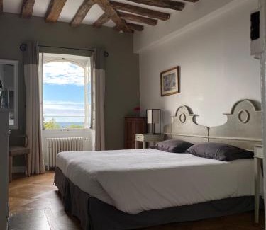 Nazelles-Negron Bed & Breakfast | Château de Nazelles Amboise