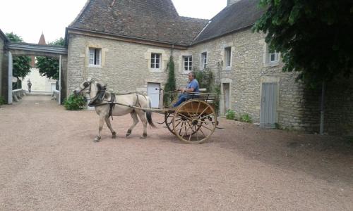Ladoix-Serrigny Bed & Breakfast | Château De Serrigny
