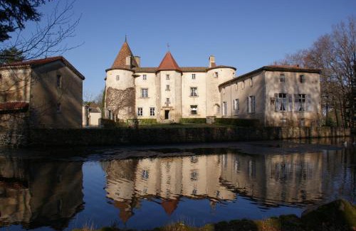 Saint-Dier-dʼAuvergne Bed & Breakfast | Château des Martinanches