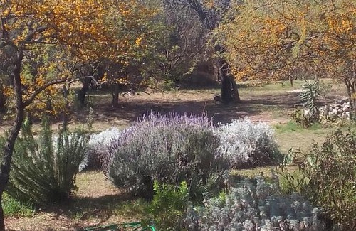 San Javier Cabin | Chañares Majuk