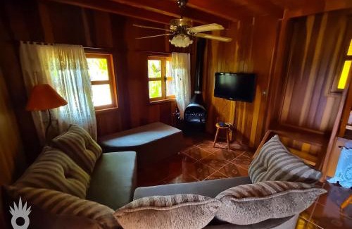 Indaiatuba Ski Chalet | Chalé europeu com vista para natureza no interior