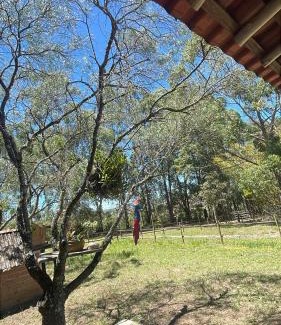 Carrancas Ski Chalet | Chalé Moinho Localização Privilegiada em Carrancas - MG