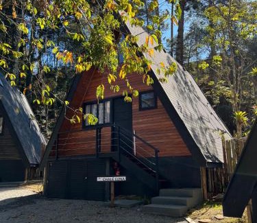 Campos do Jordao Ski Chalet | Chalé Villa Nature