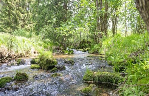 Schwarzenberg am Boehmerwald House | Chalet Schwarzenberg near Ski Lift & Stream, cleaning included