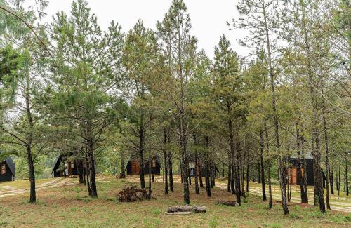Jardim Europa Ski Chalet | Chales Naturale - Campos do Jordão - CNA