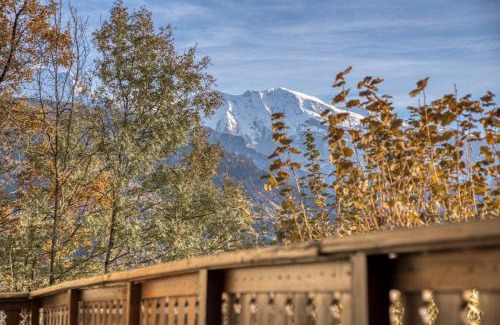 Passy Ski Chalet | Chalet 8 personnes