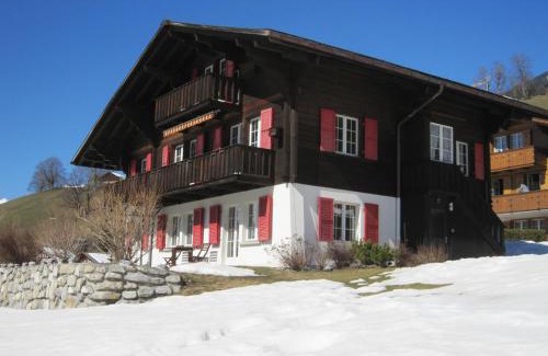 Grindelwald Apartment | Chalet Aiiny