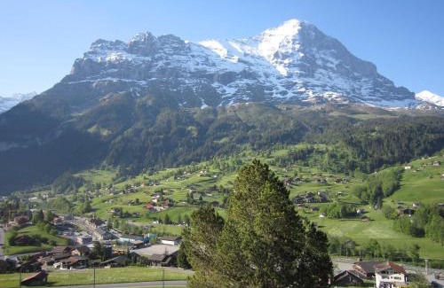 Grindelwald Apartment | Chalet Aiiny