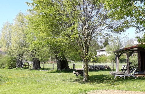 Chateau-Voue House | Chalet au bord d'un étang, près d'une ferme pédagogique