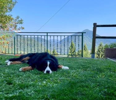 Pieve Tesino House | Chalet Belvedere