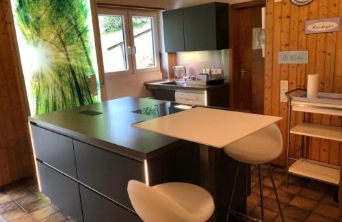 Ortsmitte House | Chalet BERGglück Willingen - Nähe Skilifte