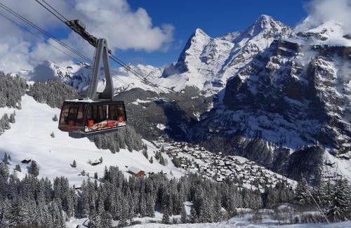 Murren Apartment | Chalet Bim Chilchli