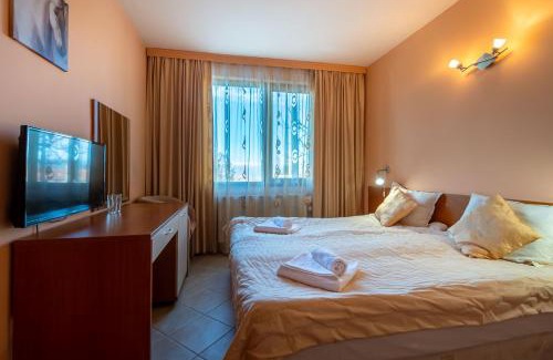 Old Town Ski Chalet | Chalet Bizet cosy home in BANSKO