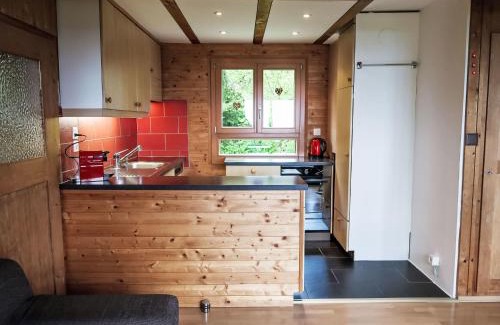 La Vue des Alpes Ski Chalet | Chalet Chalet de la Vue des Alpes by Interhome