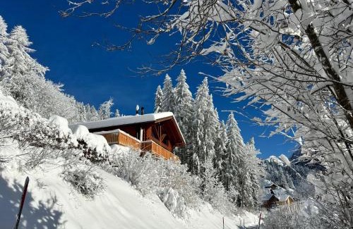 Barboleusaz Ski Chalet | Chalet Chalet Les Pars by Interhome