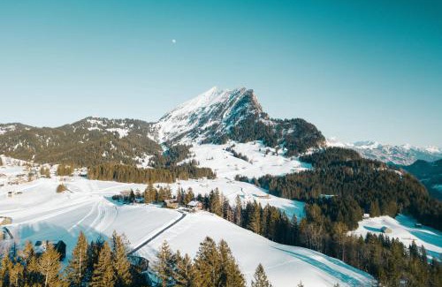 Amden House | Chalet Chapfwald