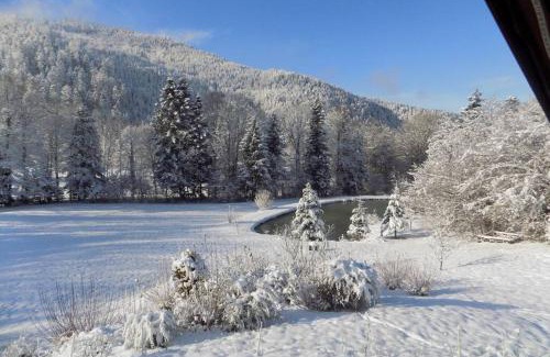 Saint-Maurice-sur-Moselle Ski Chalet | CHALET DES CHARBONNIERS AVEC ETANG