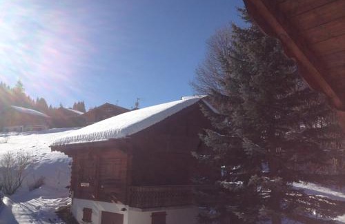 Les Carroz-d'Araches Ski Chalet | Chalet de charme aux Carroz d'Arrâches-Flaines