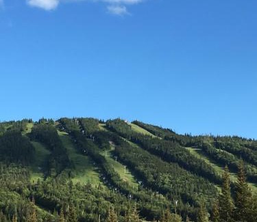 Saint-David-de-Falardeau Ski Chalet | Chalet du Versant Nord