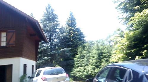 Saint-Remy-Sur-Durolle House | Chalet du lac