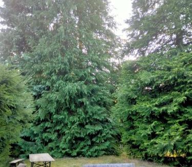 Saint-Remy-Sur-Durolle House | Chalet du lac