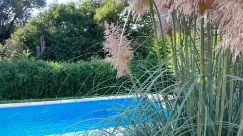 Villa General Belgrano House | Chalet El Buho