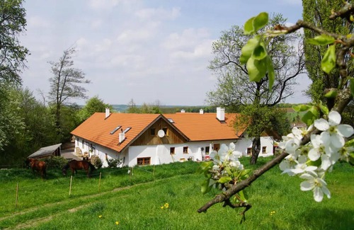 Kirchstetten Ski Chalet | Chalet 'Feinis' with Private Terrace, Private Garden and Wi-Fi