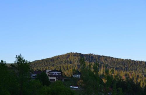 Gura Humorului Ski Chalet | Chalet First Hill