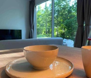 Oosterwolde Ski Chalet | Chalet goudmeer LUXURY AIRCO WIFI 3 bedrooms 2 bathrooms
