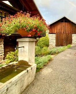 Saint-Bon-Tarentaise Ski Chalet | Chalet Greuffa