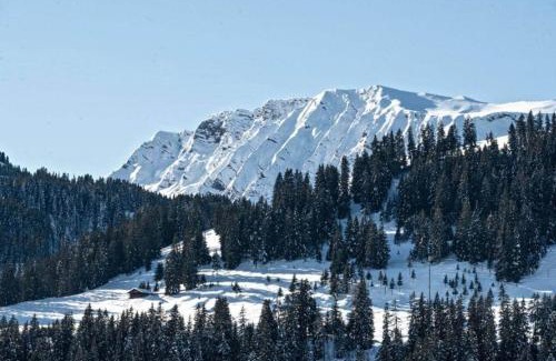 St. Stephan Apartment | Chalet Halten