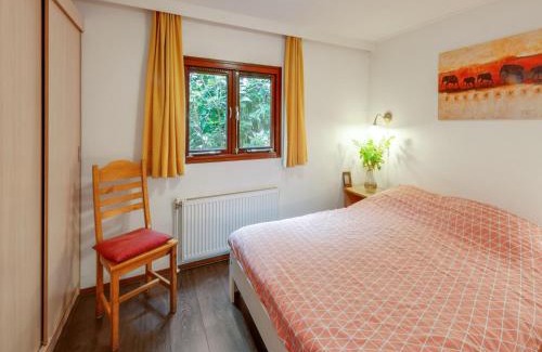 Stegeren Ski Chalet | Chalet in Stegeren with Pool and Gardens