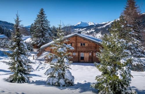 Les Gets Ski Chalet | Chalet Joux Verte - OVO Network