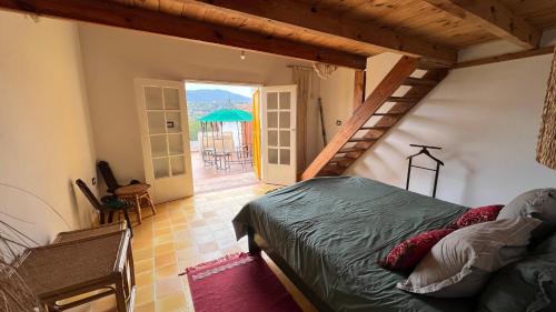 Ain Draham Ski Chalet | Chalet l'Atlas
