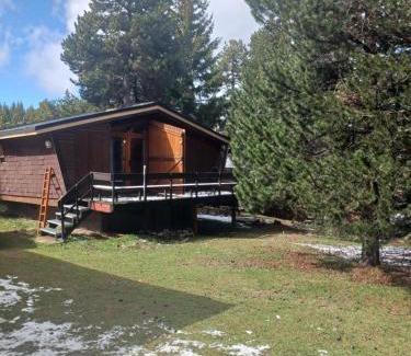 Pyrenees 2000 Ski Chalet | Chalet l'Epicéa en forêt T3 avec terrasse & jardin à 5 min à pied des pistes P2000