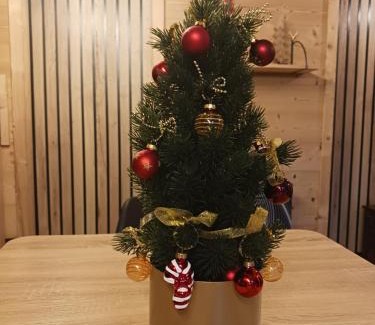 Pyrenees 2000 Ski Chalet | Chalet l'Epicéa T3 sous les pins avec terrasse & jardin à 5 min à pied des pistes P2 et commerces