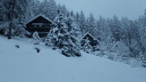 Les Lolettes Ski Chalet | chalet la colline