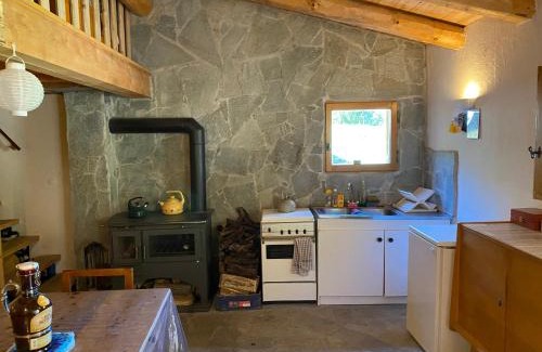 Villar-Saint-Pancrace Ski Chalet | Chalet la Lise