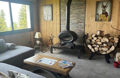 Les Deserts Ski Chalet | Chalet Le Bisolet