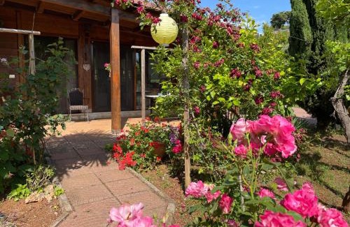 Itri Ski Chalet | Chalet Mimosa