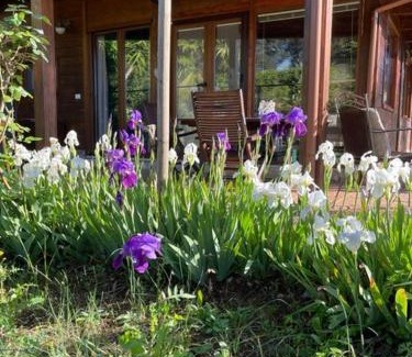 Itri Ski Chalet | Chalet Mimosa