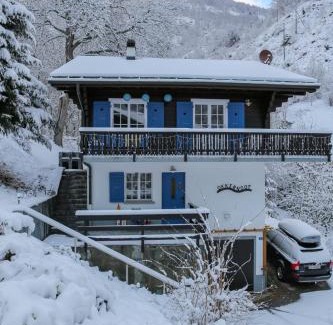 Breiten Ski Chalet | Chalet Okkernoot