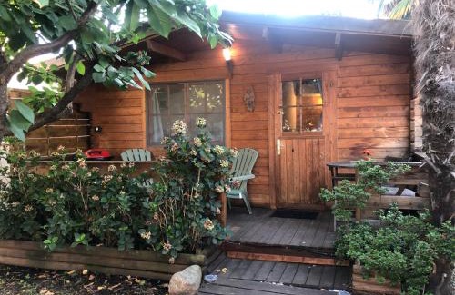 Folelli Ski Chalet | Chalet - Piscine - Wifi