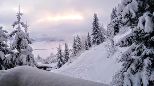 Manigod Ski Chalet | CHALET SPA BELLE VUE 500 m des pistes