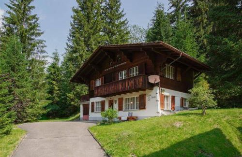 Blausee Apartment | Chalet Spatz Loft Kandersteg Oeschinen Lake