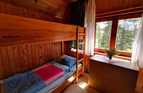 Goreljek Ski Chalet | Chalet Stara Jelka Pokljuka