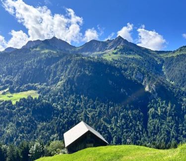 Sonntag Apartment | Chalet Urban