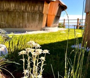Kamnik House | Chalet Velika Planina - I FEEL ALPS